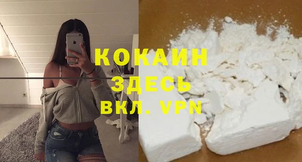 прущая мука Тында
