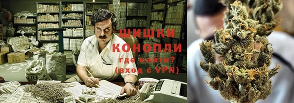 прущая мука Тында