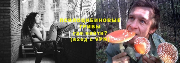прущая мука Тында