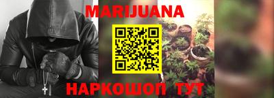 сатива Кунгур