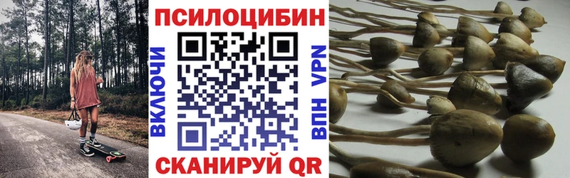 Псилоцибиновые грибы MAGIC MUSHROOMS  где можно купить   Сочи 