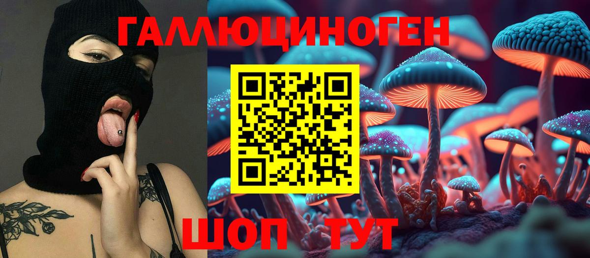Сочи  Псилоцибиновые грибы GOLDEN TEACHER  Вход с VPN  Псилоцибиновые грибы Psilocybe 