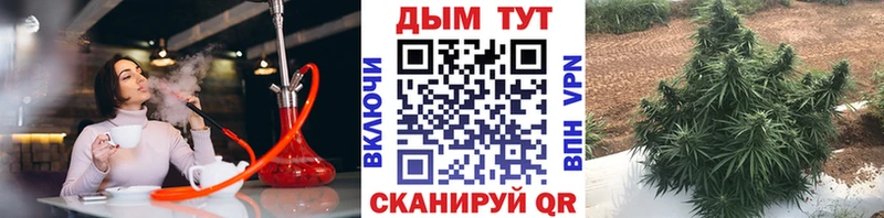 OMG рабочий сайт  Сочи  Бошки марихуана THC 21% 